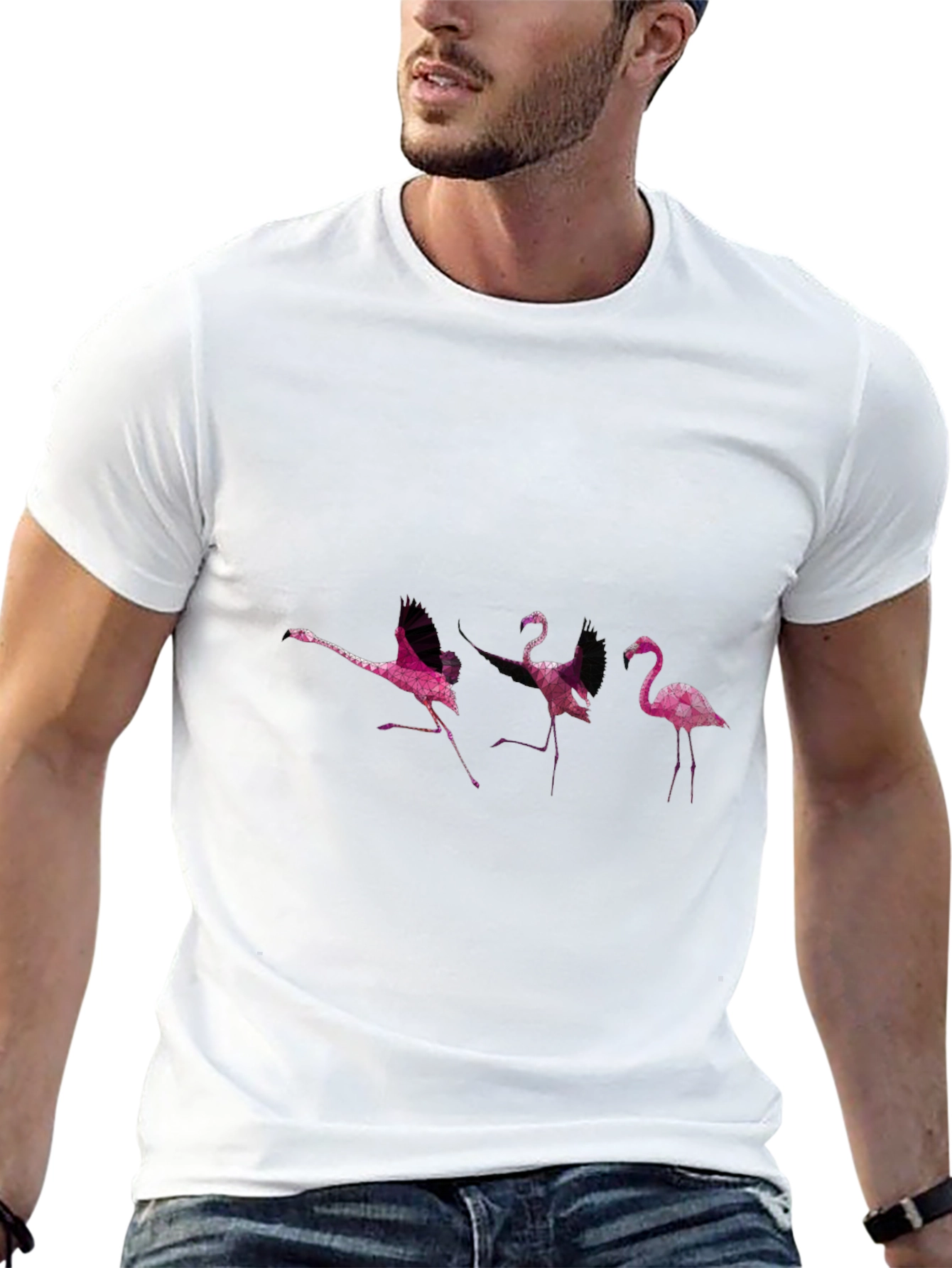 Flamingo Graphic Black T-Shirt