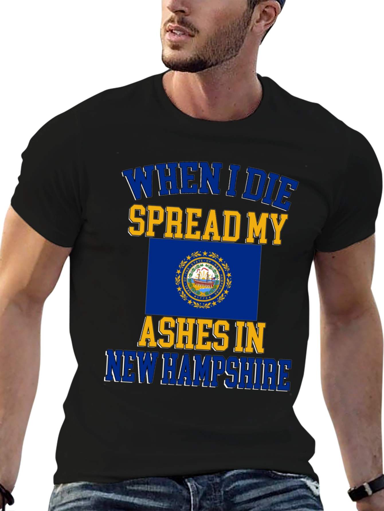 New Hampshire State Flag Ashes T-Shirt